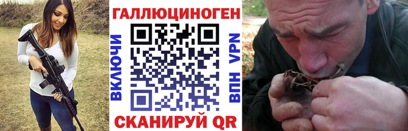 Псилоцибиновые грибы Psilocybine cubensis цены Шали