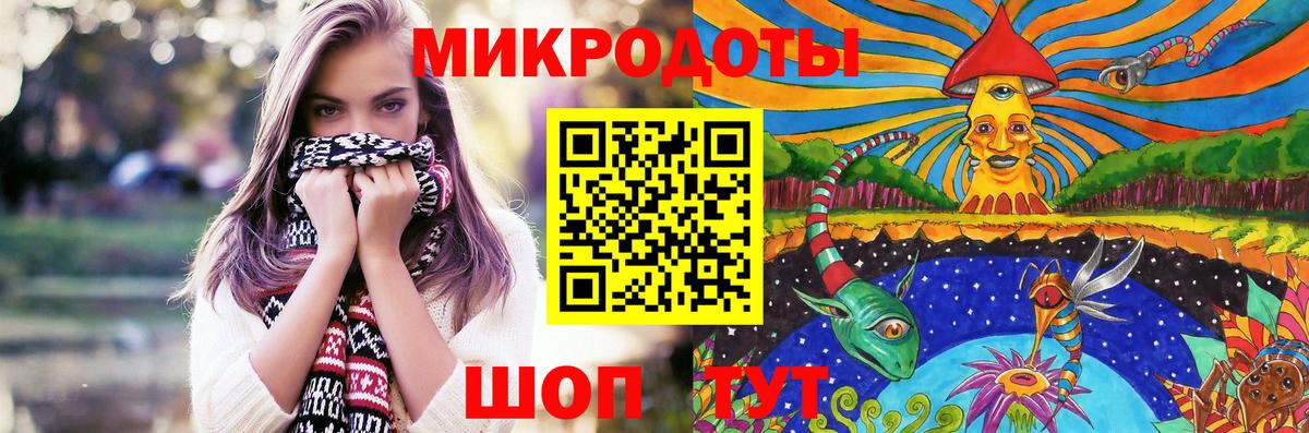 Псилоцибиновые грибы Psilocybe  Вход с VPN  Шали 