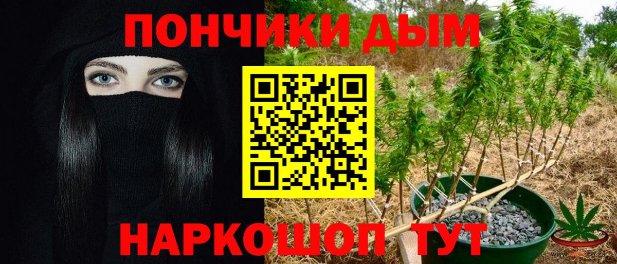Марихуана план  Вход с VPN  Шали  Бошки марихуана Amnesia  МАРИХУАНА MAZAR 